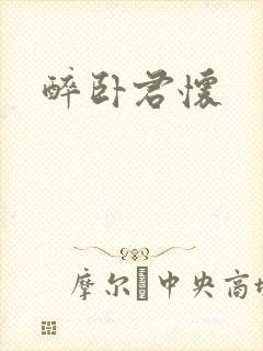 醉卧君怀