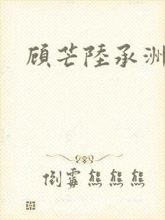 顾芒陆承洲
