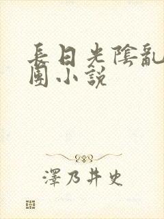 长日光阴乱作一团小说