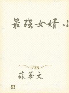 最强女婿 小说