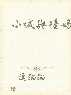 小城与后妈封面