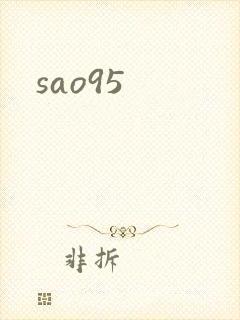 sao95封面