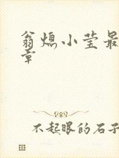 翁熄小莹最新节章