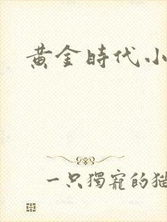 黄金时代小说