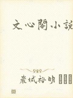 文心阁小说