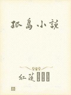孤岛小说