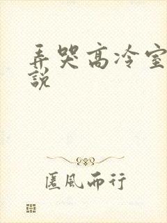 弄哭高冷室友小说