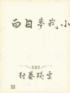 白日梦我小说