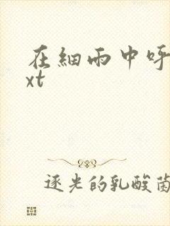 在细雨中呼喊txt