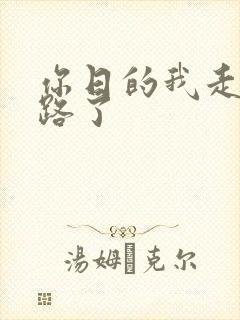 你日的我走不了路了封面