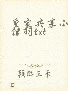 皇家共享小公主银羽txt封面