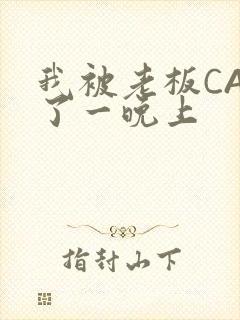 我被老板CAO了一晚上
