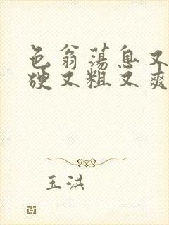 色翁荡息又大又硬又粗又爽电影