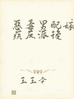 恶毒男配嫁给残疾反派后
