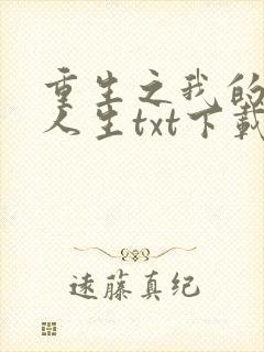 重生之我的书记人生txt下载