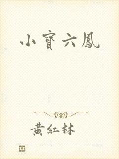 小宝六凤封面