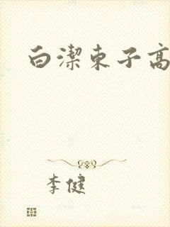白洁东子高义封面