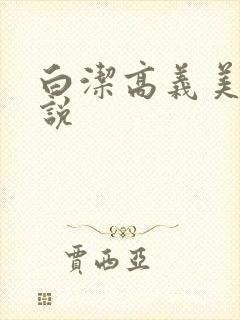 白洁高义美红小说
