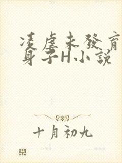 凌虐未发育的小身子H小说封面