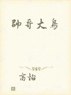 帅哥大鸟
