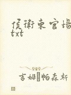 侯卫东官场笔记txt封面