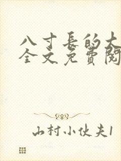 八寸长的大宝贝全文免费阅读