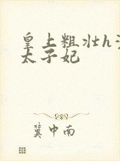 皇上粗壮h灌满太子妃