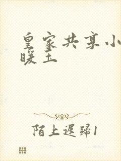 皇家共享小公主暖玉