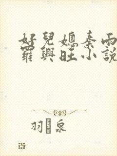 好儿媳秦雨罗明罗兴旺小说