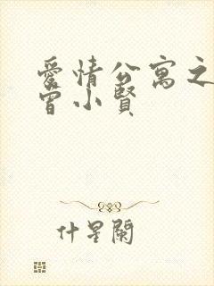 爱情公寓之极品曾小贤封面