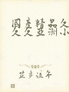 国产精品久久久久久亚洲小说