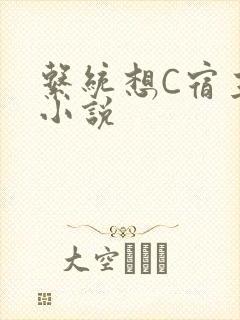 系统想C宿主的小说
