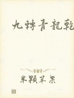 九转青龙乾坤鼎封面