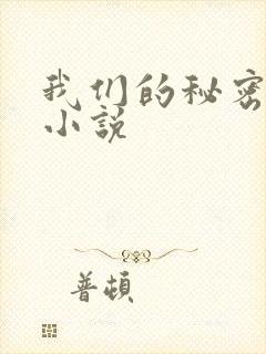 我们的秘密泰剧小说