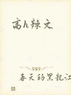 高h辣文