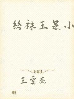 丝袜玉足小说
