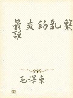 最爽的乱系列小说封面