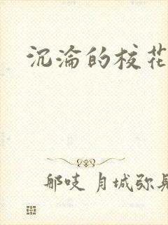 沉沦的校花