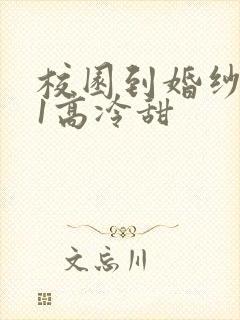 校园到婚纱1V1高冷甜