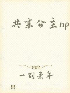 共享公主npc
