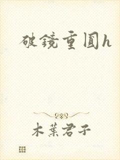 破镜重圆h