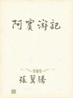 阿宾游记封面