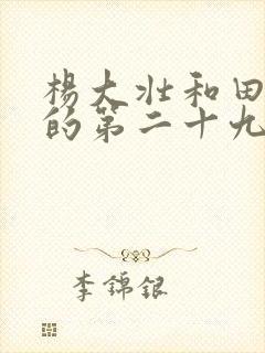 杨大壮和田桂花的第二十九封面