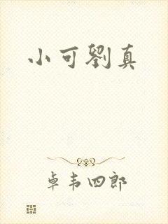 小可刘真封面
