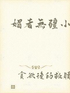 媚者无疆小说
