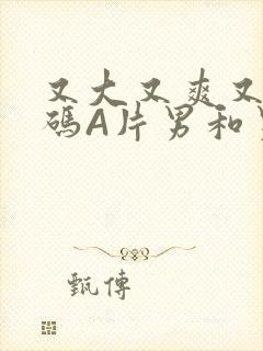 又大又爽又黄无码A片男和男
