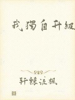 我独自升级