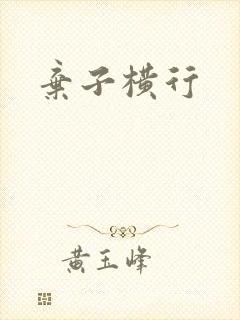 弃子横行封面