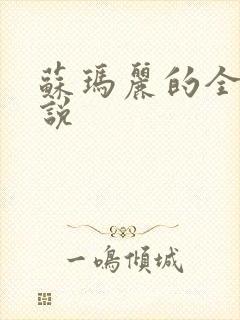 苏玛丽的全部小说