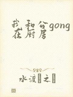 我和公gong在厨房